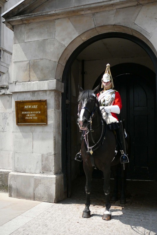 Horse Guard
