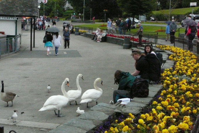 Windermere 6