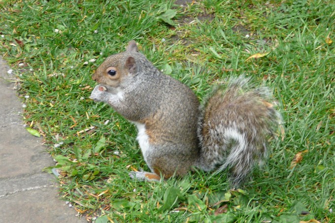 York_09
