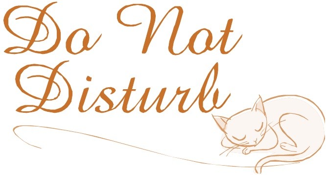 Do Not Disturb