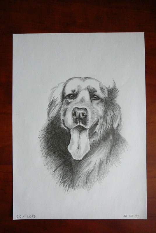 Kreslení 07