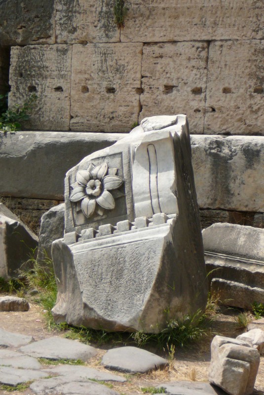Septimus 03