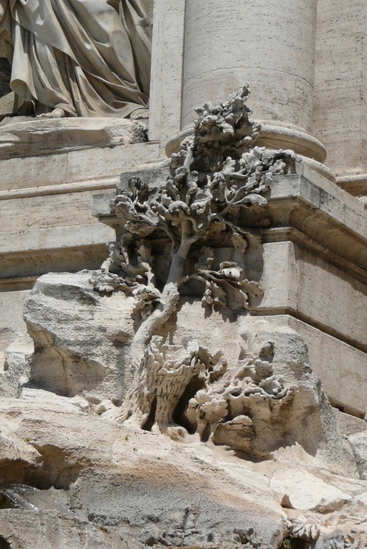 Trevi 24