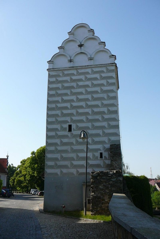 Tbor 61