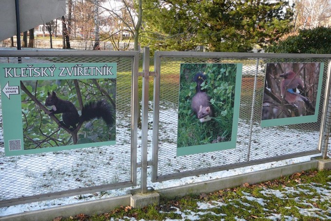 Klesk zvetnk 06
