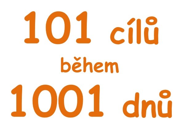 Projekt 101-1001