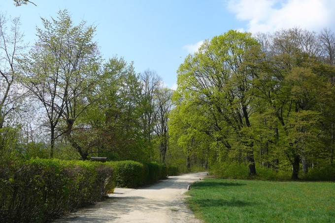 Vejce 23