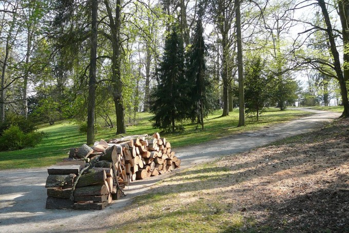 Vejce 29