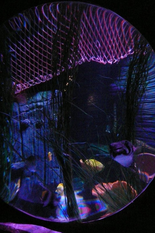 Gardaland 17