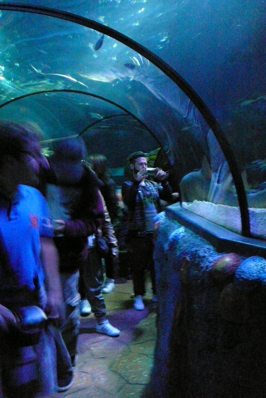 Gardaland 22