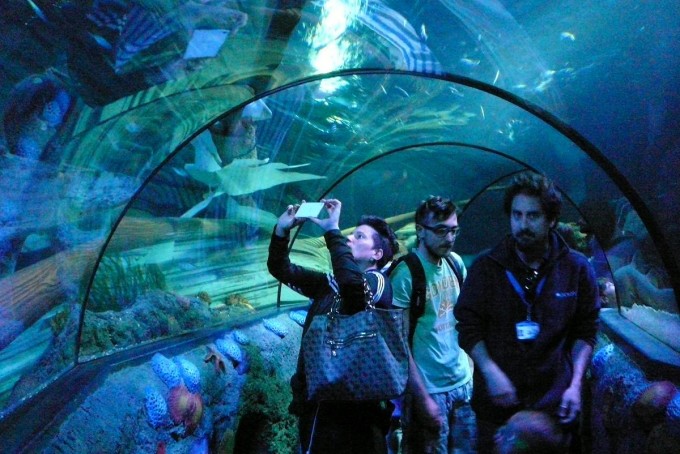 Gardaland 24