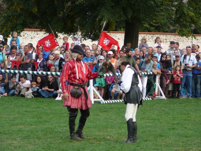 elezn a zlat 03