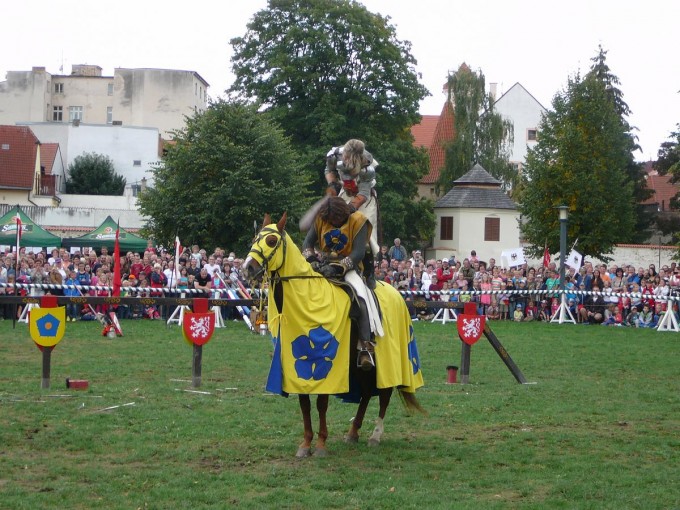 elezn a zlat 24