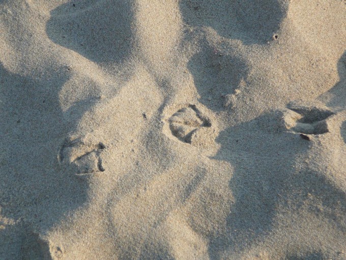 Tortoreto Lido 2015-25