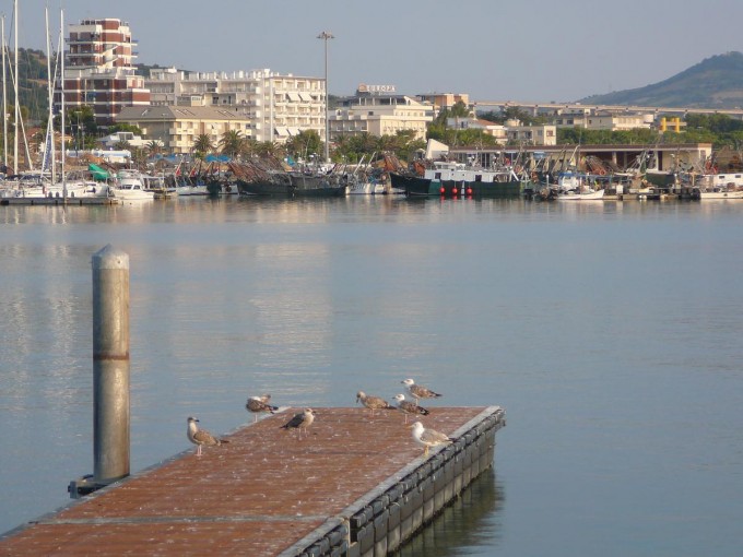 Tortoreto Lido 2015-50