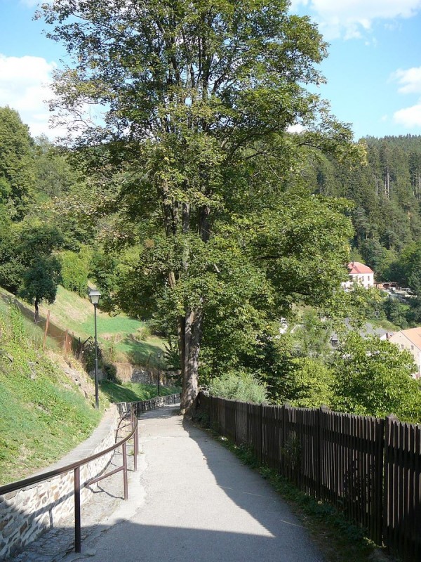 Romberk 09