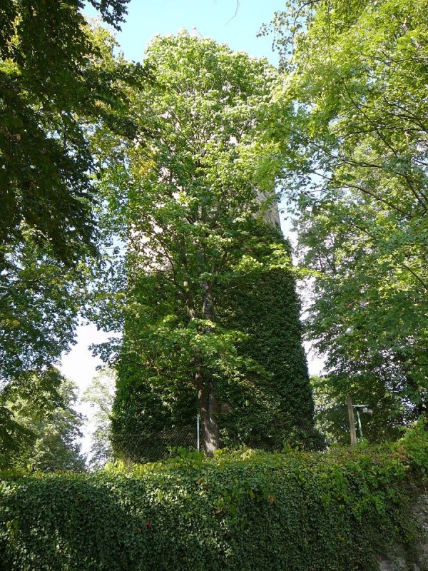 Romberk 64