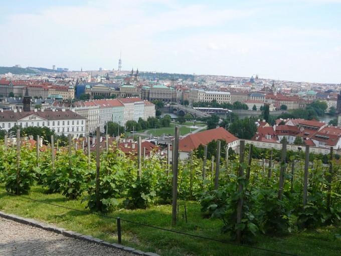 Prask hrad 2016-141