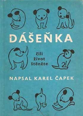 Dášeňka