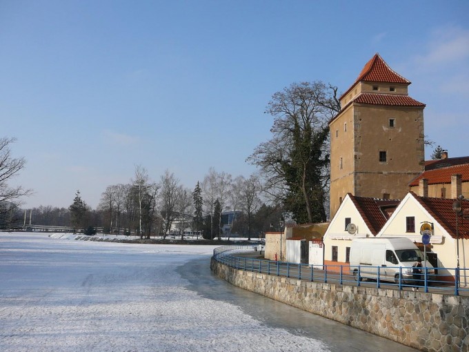Zamrzl eka 12