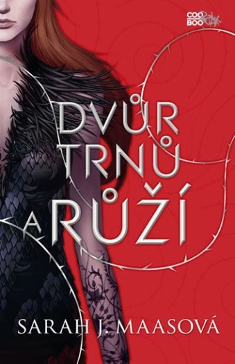 Dvr trn a r
