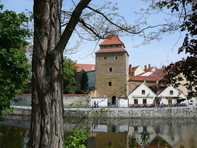 Zvrokruhy 33