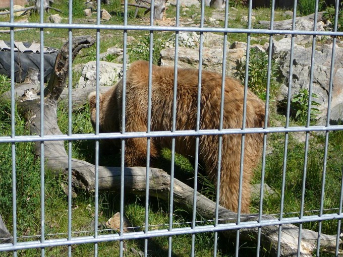 Výletničení 61