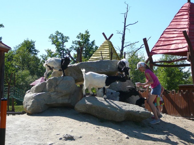 Vletnien 67