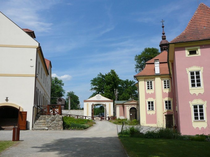 Mitrowitz 17