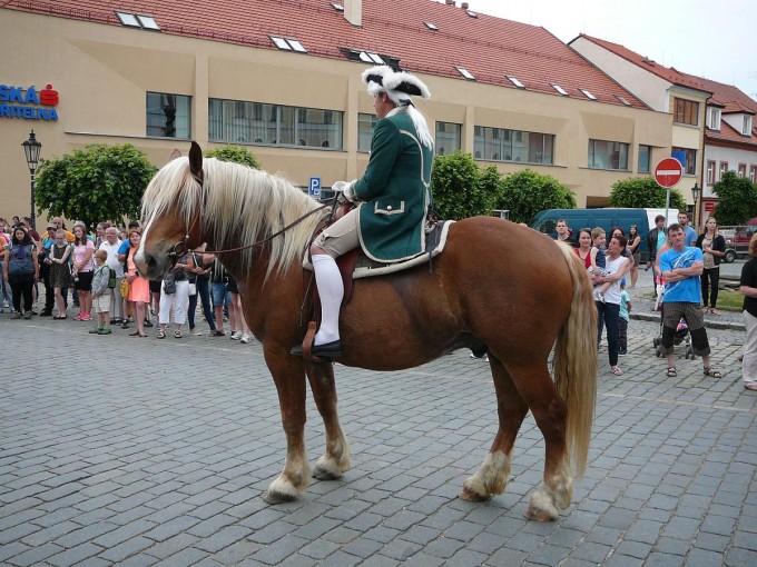 Dotkni se Psku 11