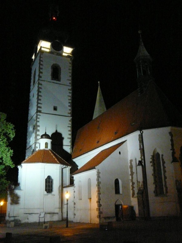 Dotkni se Psku 29