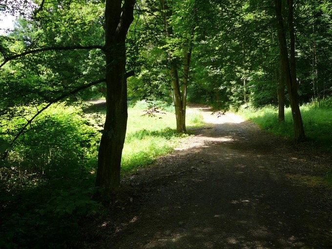 Orlík 44