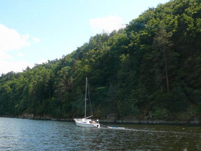 Zvkov 20