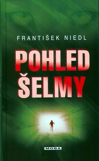 Pohled elmy