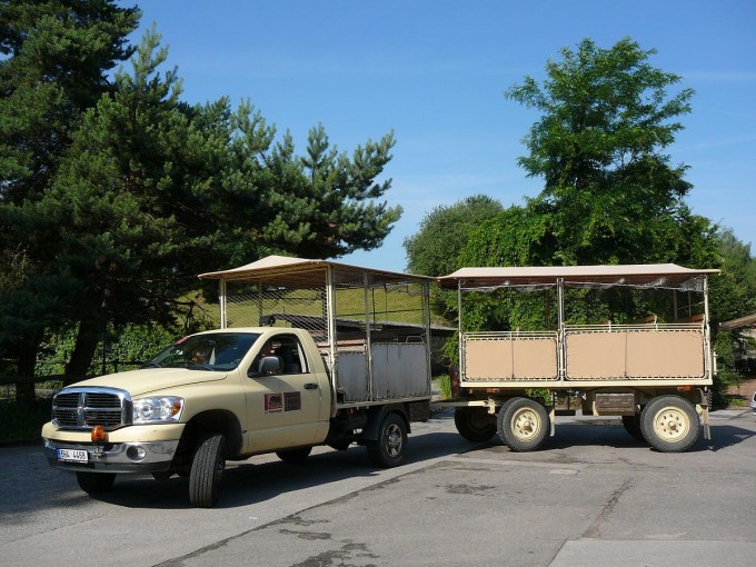 Safari 2017-60