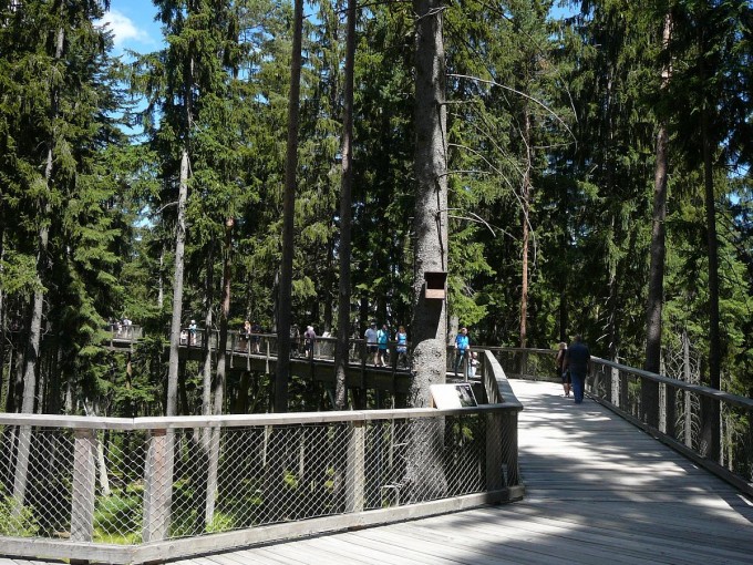 Lipno 32