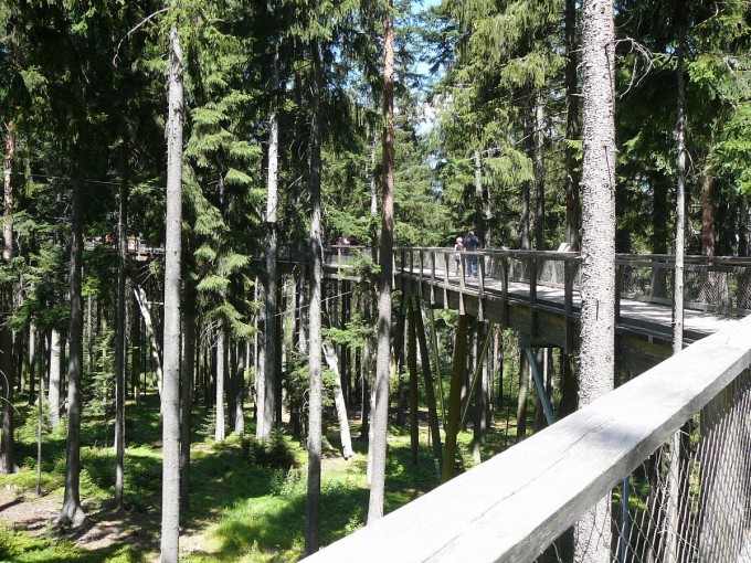 Lipno 33