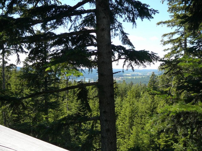 Lipno 37