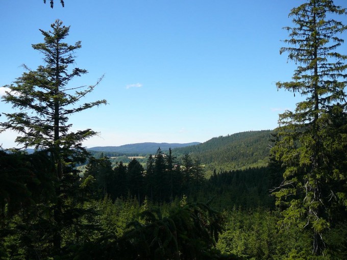 Lipno 38