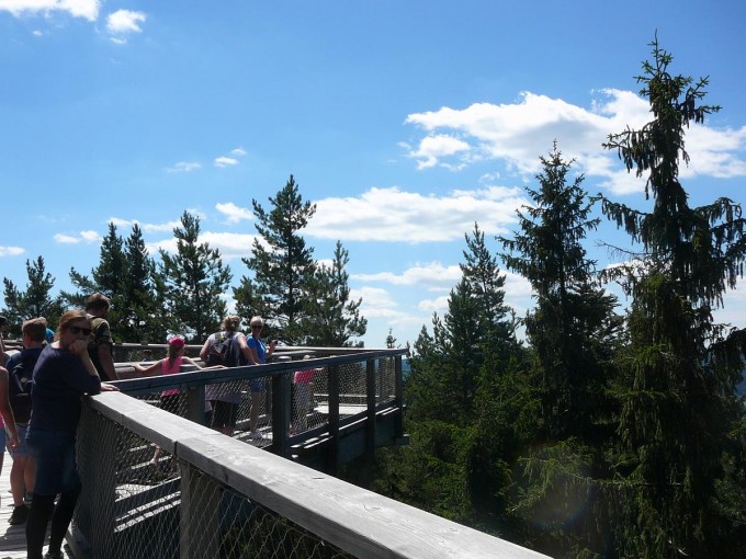 Lipno 40