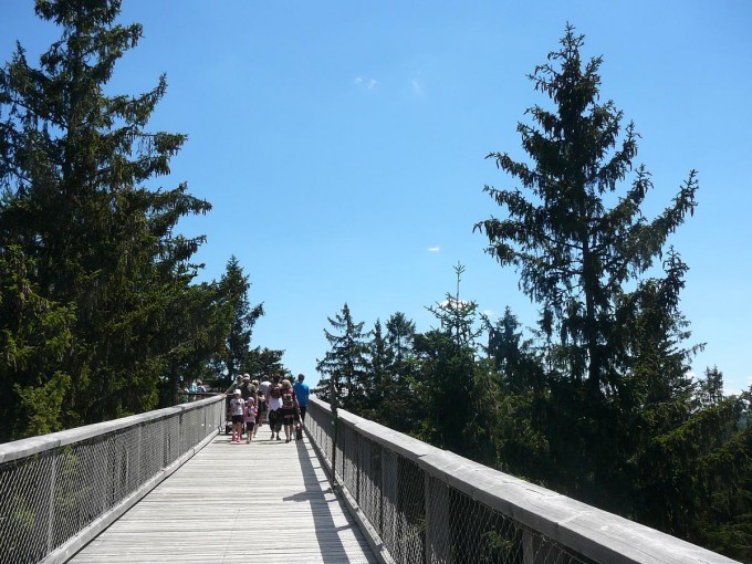 Lipno 41