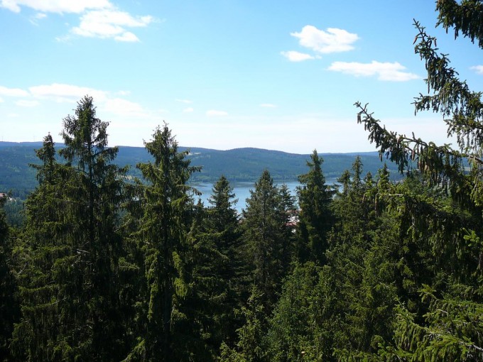 Lipno 42