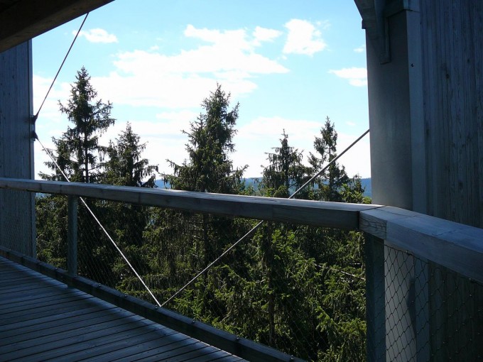 Lipno 50