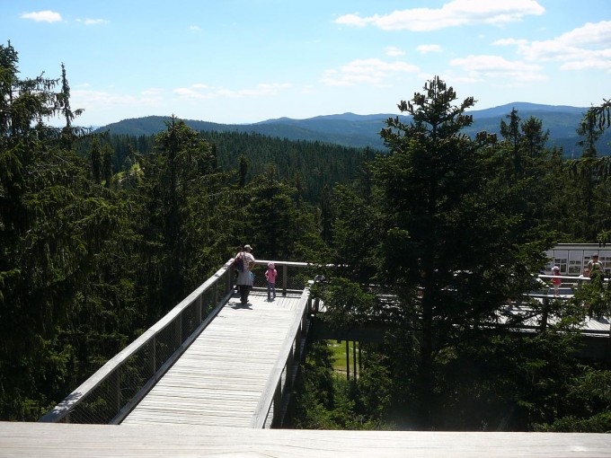 Lipno 51