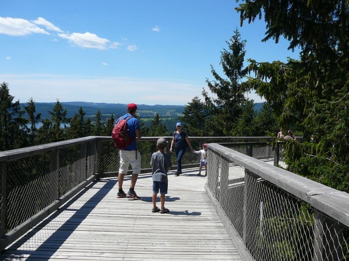 Lipno 64