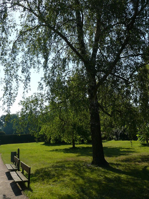 Kratochvle 01