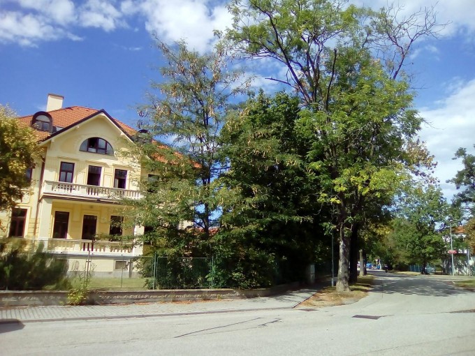 Kola 2018-33