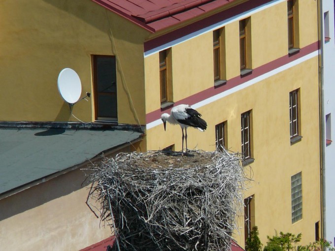 J. Hradec 86