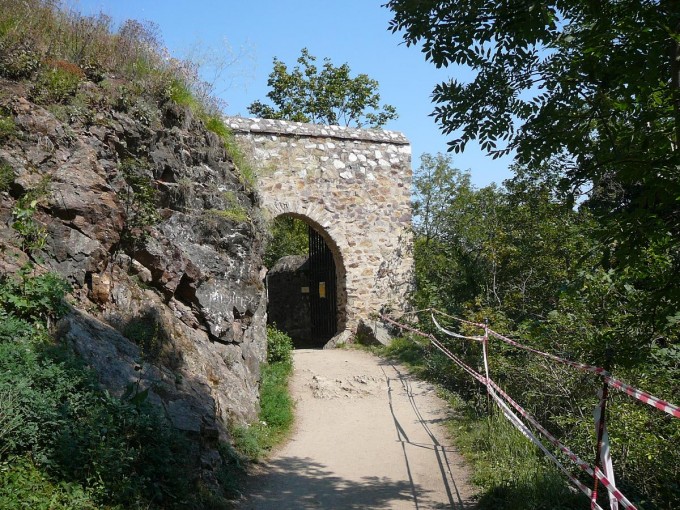 Corntejn 02