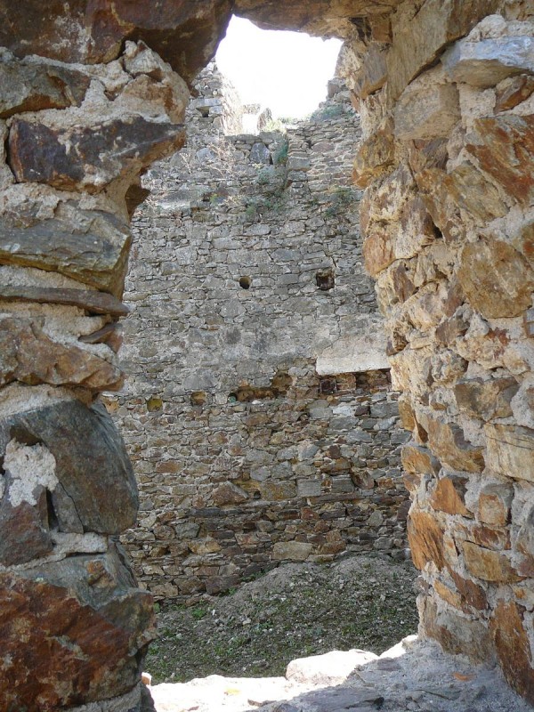 Corntejn 11
